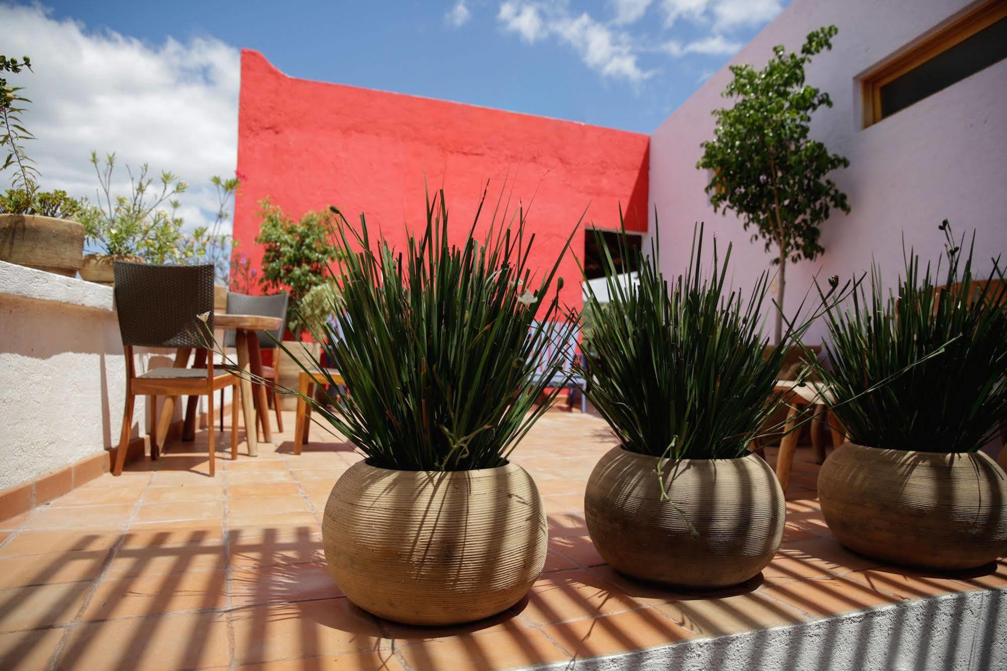 Casa Tsaya Hotel Boutique Bernal Exteriér fotografie